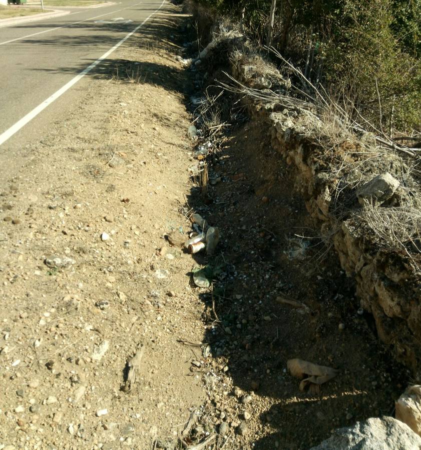 Papeles, plásticos, botellas y envases de comida encabezan la lista de residuos más habituales que arrojan los conductores a las cunetas