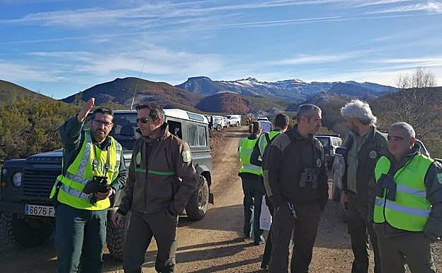 Agentes de la Guardia Civil y de la Junta, en las tareas de búsqueda. 