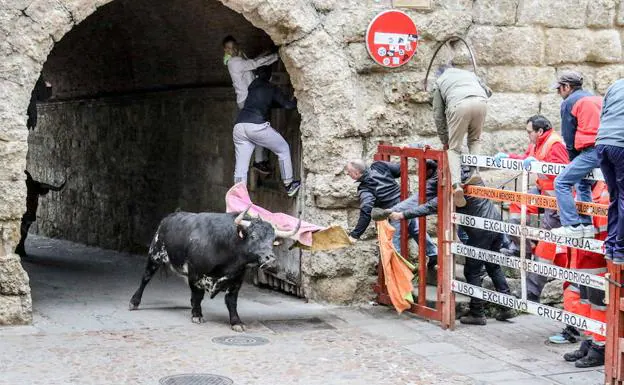 Una de las imágenes que dejó el pasado Carnaval del Toro.