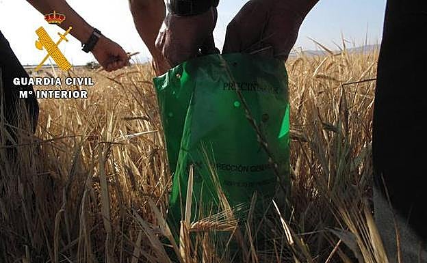 25 investigados en Ávila por actividades irregulares en el ámbito cerealista