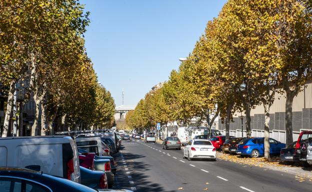 Vehículos estacionados en la zona azul de la Avenida de la Constitución. 