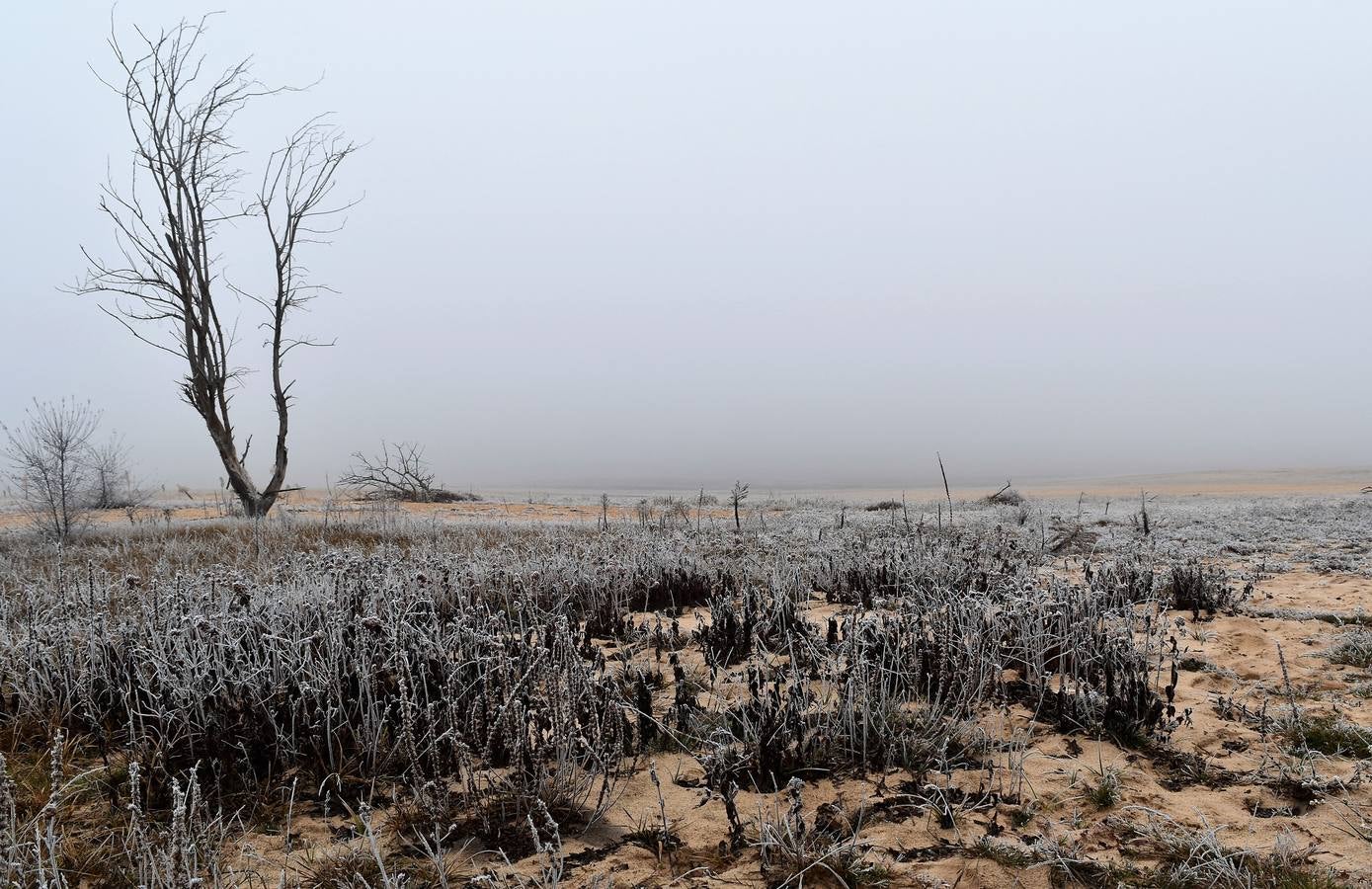 Niebla en Aguilar de Campoo