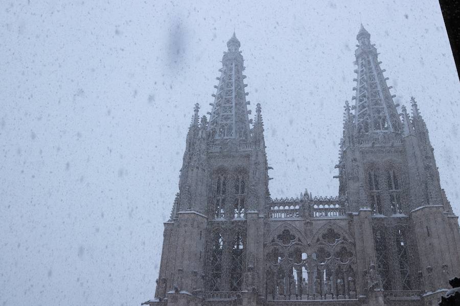 Las mejores imágenes de la nevada