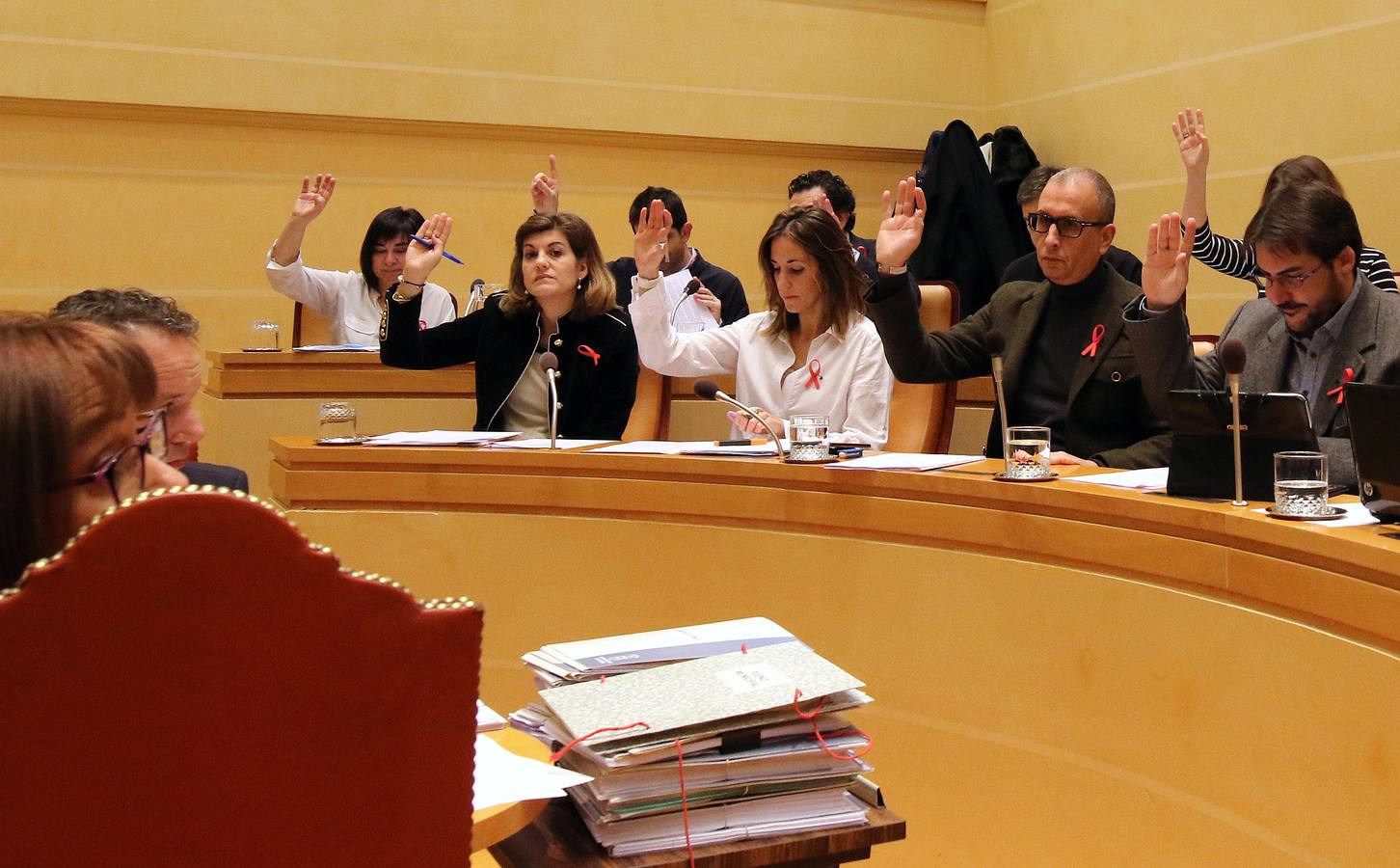 Pleno en el Ayuntamiento de Segovia