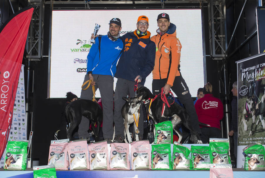 Celebrada parte del Campeonato de España de Mushing Sprint de Tierra. Entre los campeones destaca la victoria del vallisoletano Pablo Enjuto, en bikejoring un perro, o DBM.