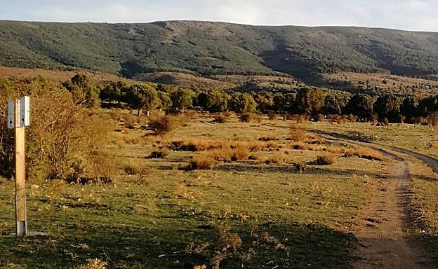 Vista panorámica de uno de los accesos al bosque de acebos de Prádena, con la sierra al fondo.