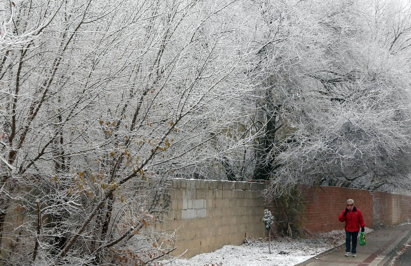 Aunque muchos han podido pensar que es nieve, en realidad es la propia niebla que, por las bajas temperaturas, se ha convertido en hielo, depositándose en árboles, coches y estructuras urbanas