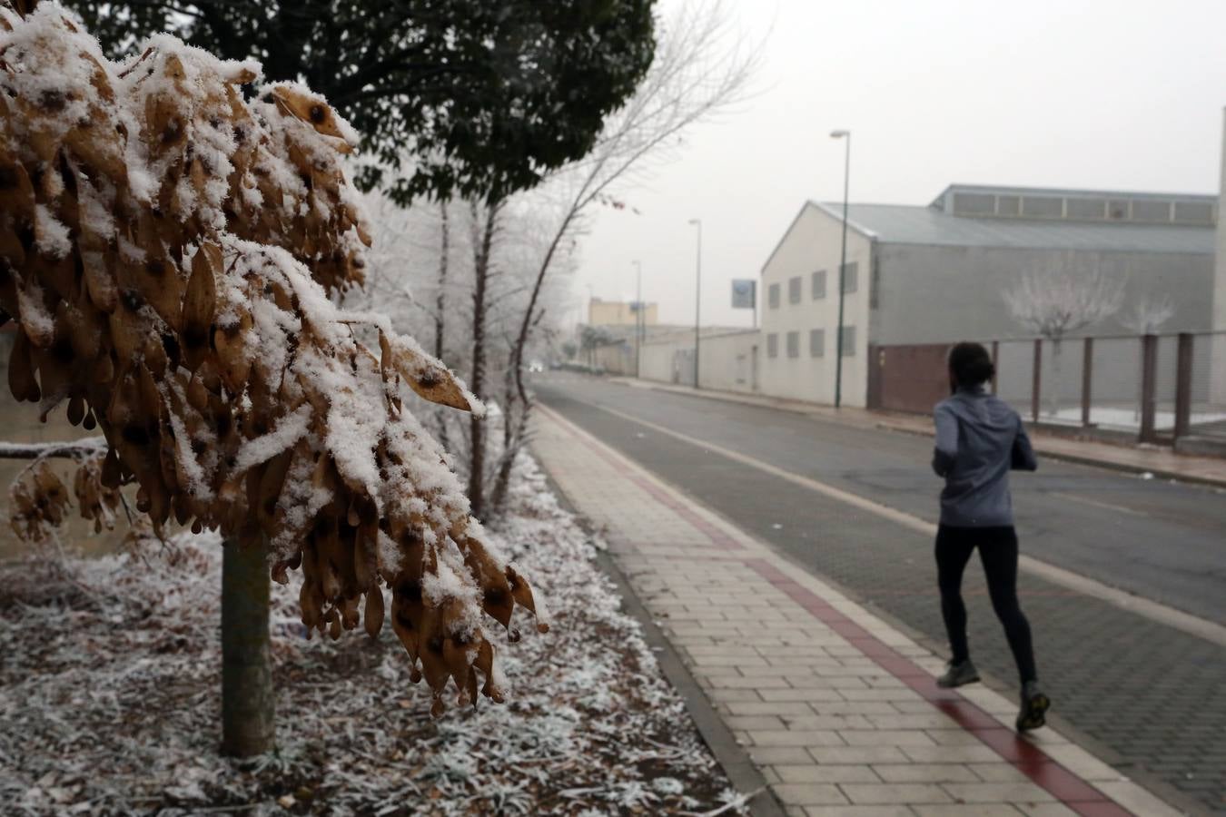 Aunque muchos han podido pensar que es nieve, en realidad es la propia niebla que, por las bajas temperaturas, se ha convertido en hielo, depositándose en árboles, coches y estructuras urbanas