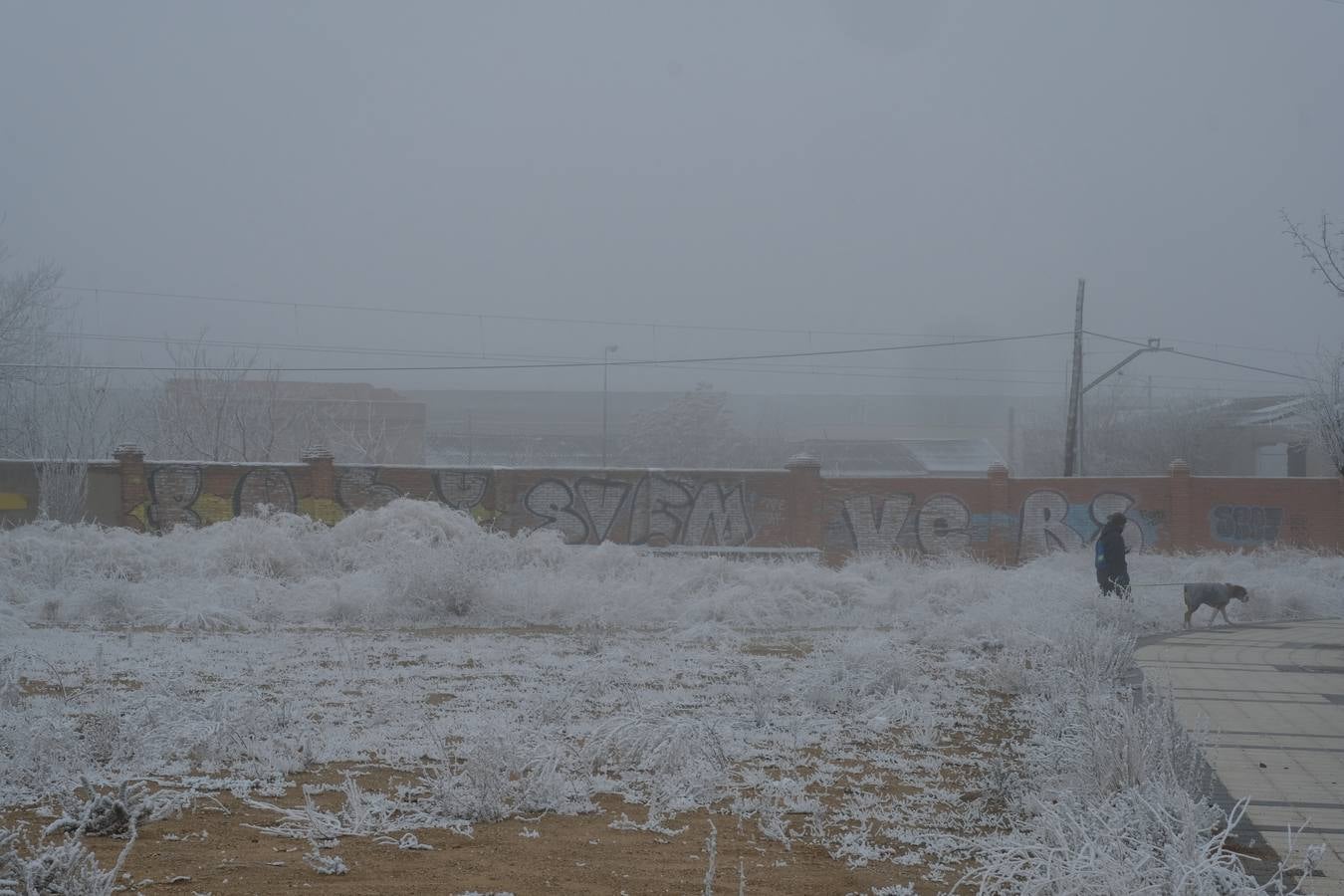 Aunque muchos han podido pensar que es nieve, en realidad es la propia niebla que, por las bajas temperaturas, se ha convertido en hielo, depositándose en árboles, coches y estructuras urbanas