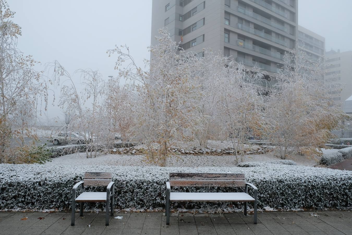 Aunque muchos han podido pensar que es nieve, en realidad es la propia niebla que, por las bajas temperaturas, se ha convertido en hielo, depositándose en árboles, coches y estructuras urbanas