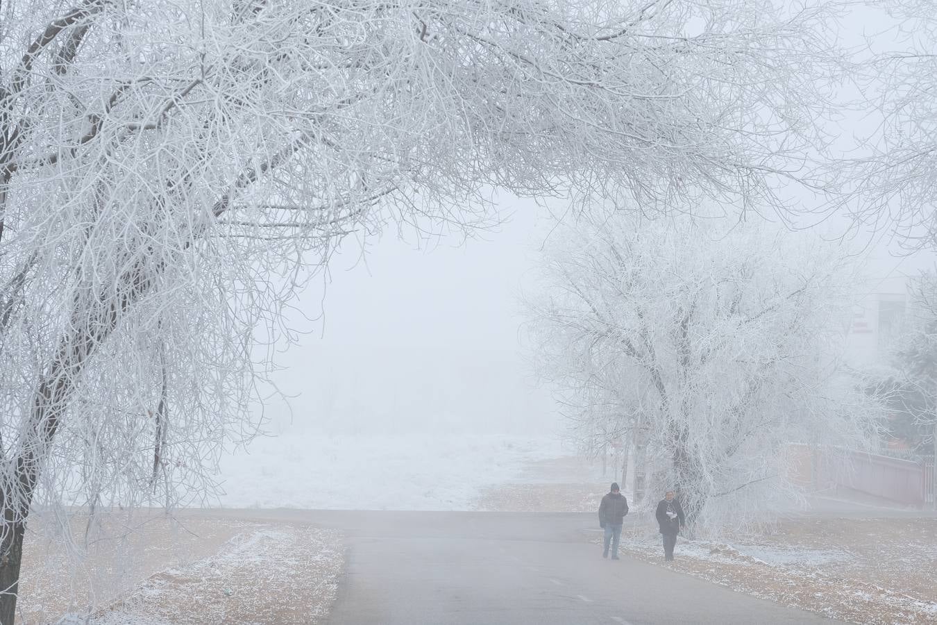 Aunque muchos han podido pensar que es nieve, en realidad es la propia niebla que, por las bajas temperaturas, se ha convertido en hielo, depositándose en árboles, coches y estructuras urbanas