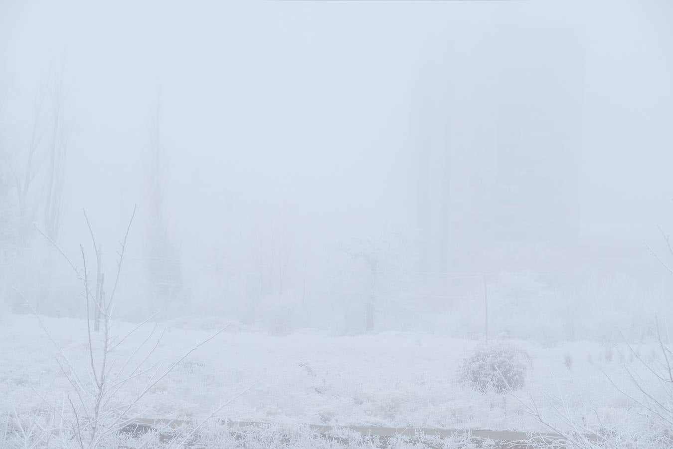 Aunque muchos han podido pensar que es nieve, en realidad es la propia niebla que, por las bajas temperaturas, se ha convertido en hielo, depositándose en árboles, coches y estructuras urbanas