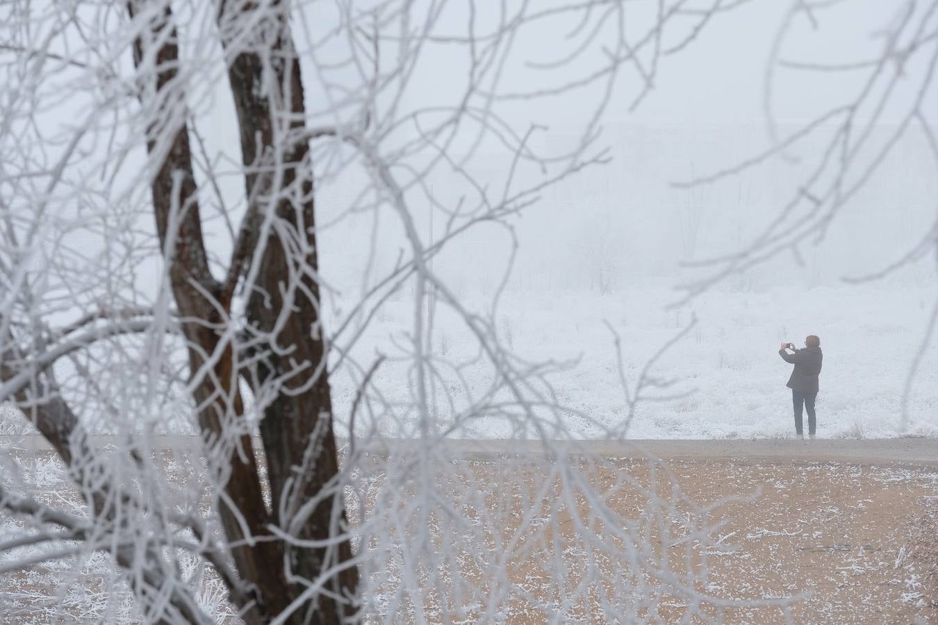 Aunque muchos han podido pensar que es nieve, en realidad es la propia niebla que, por las bajas temperaturas, se ha convertido en hielo, depositándose en árboles, coches y estructuras urbanas