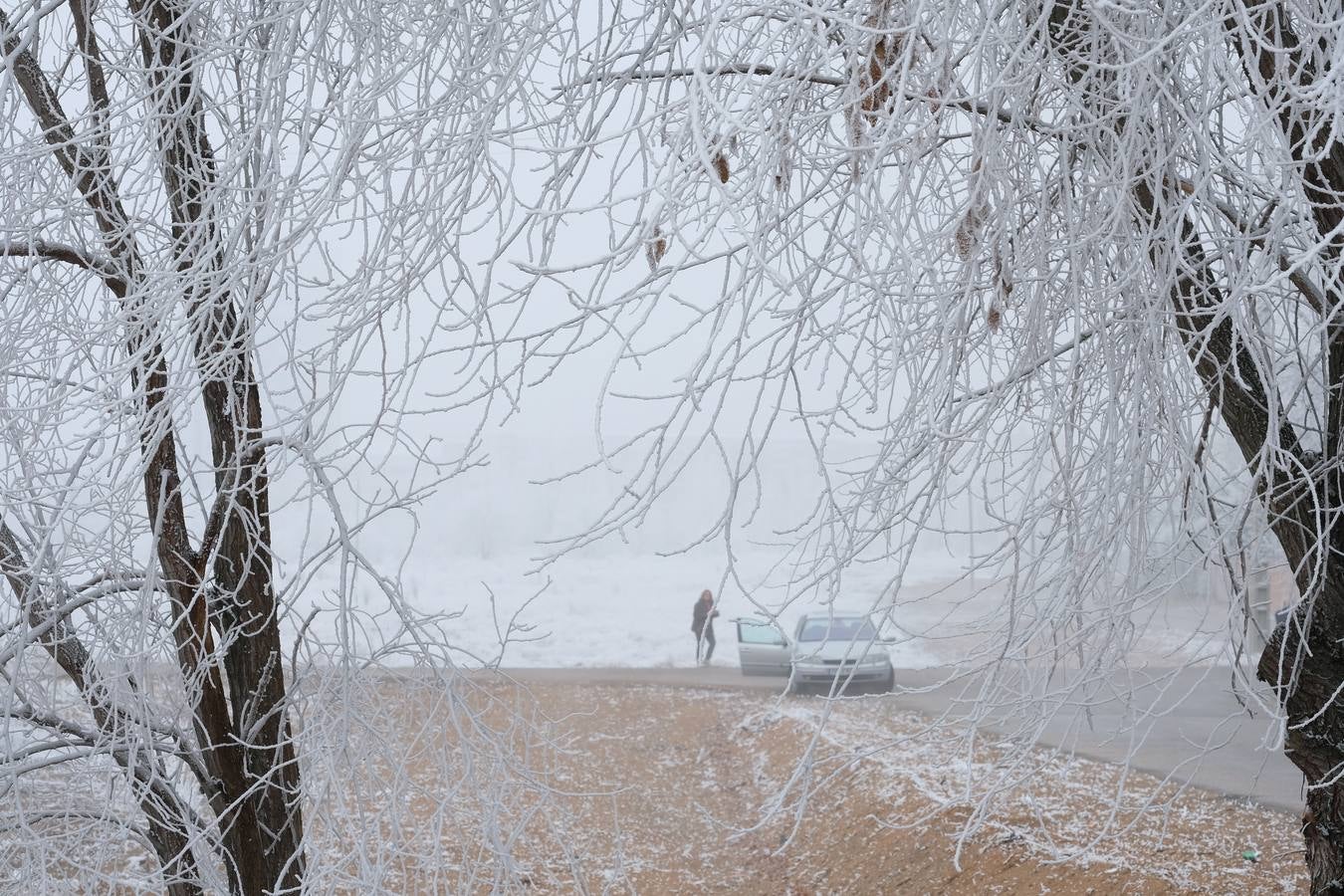 Aunque muchos han podido pensar que es nieve, en realidad es la propia niebla que, por las bajas temperaturas, se ha convertido en hielo, depositándose en árboles, coches y estructuras urbanas