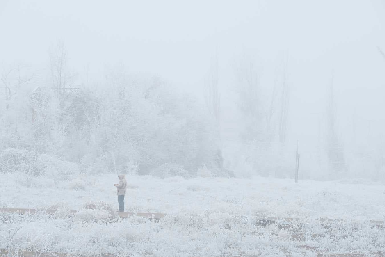 Aunque muchos han podido pensar que es nieve, en realidad es la propia niebla que, por las bajas temperaturas, se ha convertido en hielo, depositándose en árboles, coches y estructuras urbanas