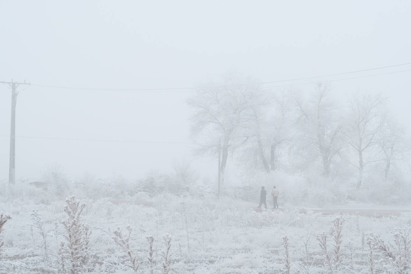 Aunque muchos han podido pensar que es nieve, en realidad es la propia niebla que, por las bajas temperaturas, se ha convertido en hielo, depositándose en árboles, coches y estructuras urbanas