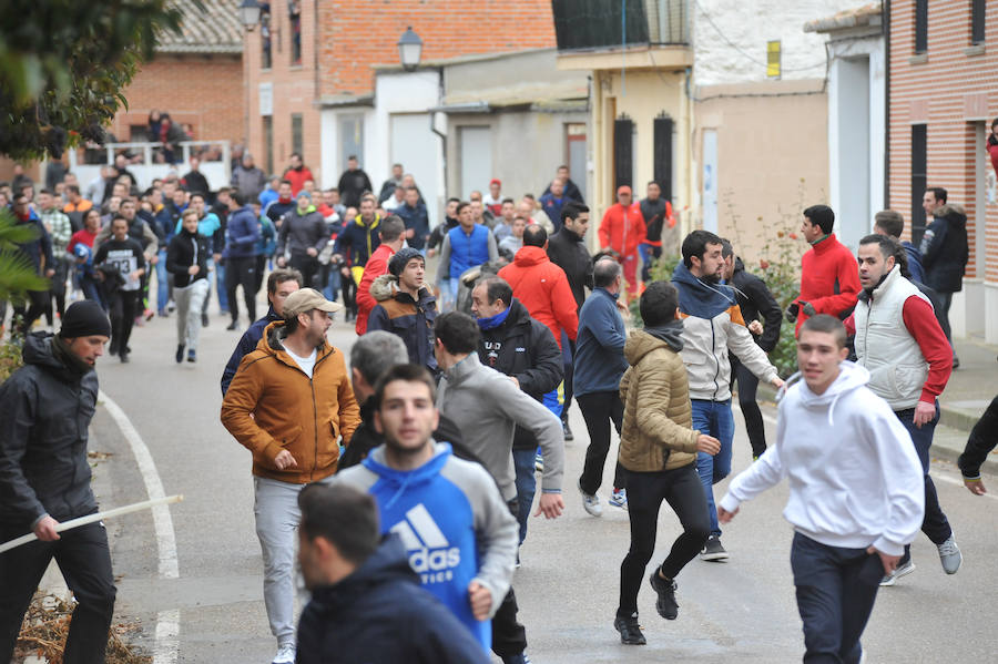 Pollos acoge el último encierro de la temporada en la provincia de Valladolid