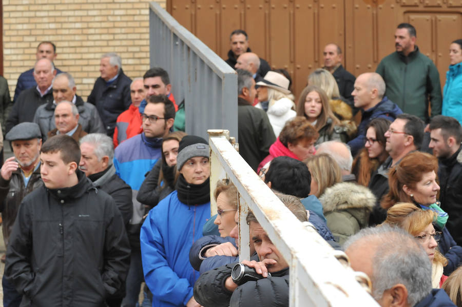 Pollos acoge el último encierro de la temporada en la provincia de Valladolid