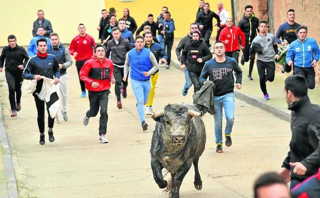 Varios jóvenes corren junto al denominado Toro de San Nicolás, en el encierro de ayer en Pollos. 