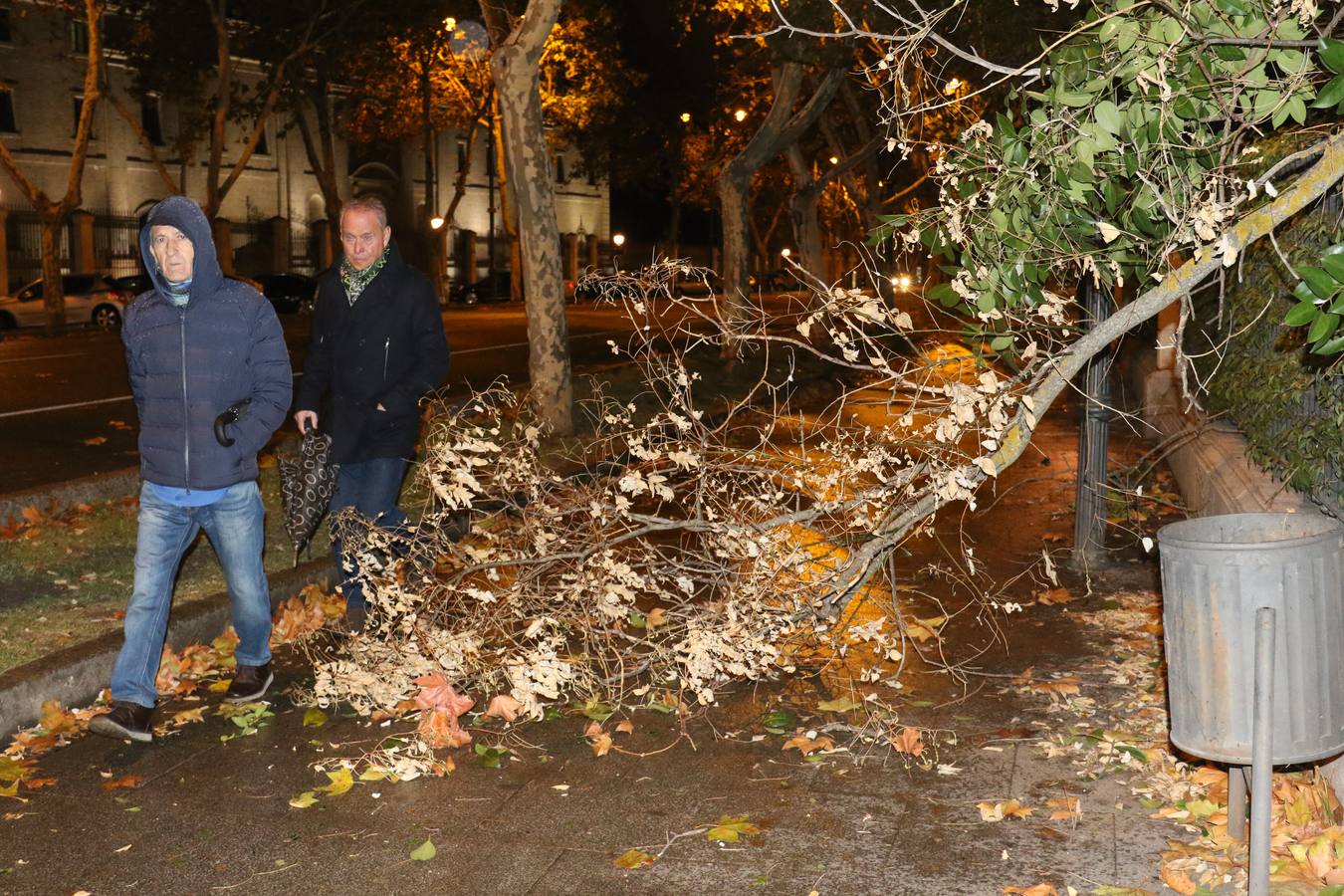 Los bomberos retiraron cascotes, ramas, vallas y luces de Navidad tras los fuertes vientos