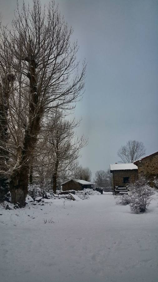 La nieve llega de nuevo a la Montaña Palentina