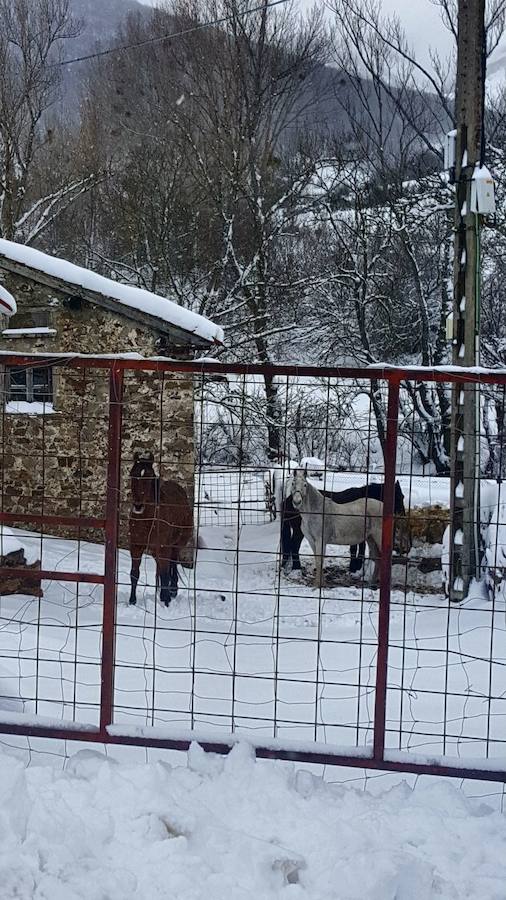 La intensa nevada que ha caído sobre Santa María de Redondo ha dejado estas hermosas imágenes.