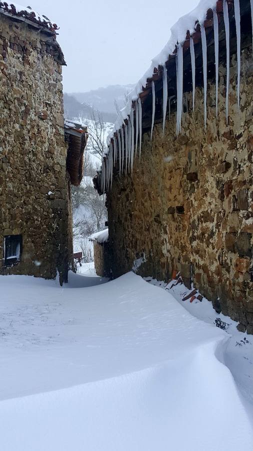 La intensa nevada que ha caído sobre Santa María de Redondo ha dejado estas hermosas imágenes.