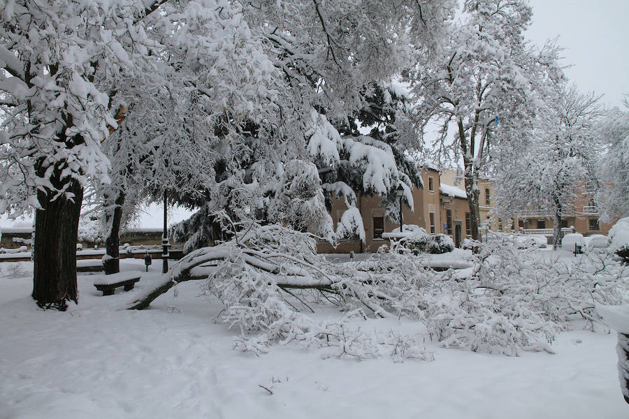 Segovia y provincia han protagonizado la actualidad del temporal del fin de semana. La nieve colapsó sus carreteras y puso un manto blanco en la capital, que muchos aprovecharon para ver el lado positivo y esquiar junto al Acueducto. Pese a la belleza de las imágenes, la nieve complicó la vida de sus ciudadanos.