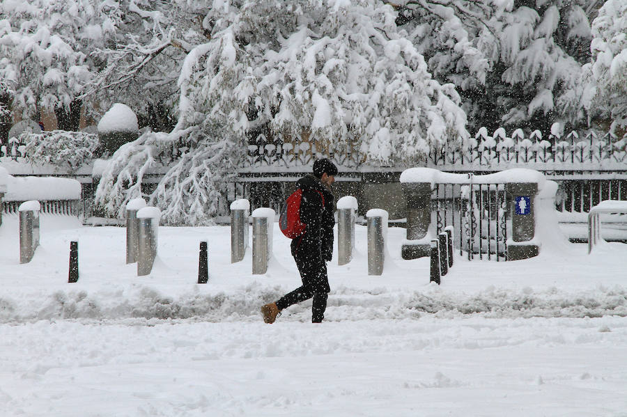 Segovia y provincia han protagonizado la actualidad del temporal del fin de semana. La nieve colapsó sus carreteras y puso un manto blanco en la capital, que muchos aprovecharon para ver el lado positivo y esquiar junto al Acueducto. Pese a la belleza de las imágenes, la nieve complicó la vida de sus ciudadanos.