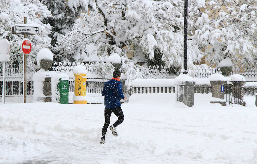 Segovia y provincia han protagonizado la actualidad del temporal del fin de semana. La nieve colapsó sus carreteras y puso un manto blanco en la capital, que muchos aprovecharon para ver el lado positivo y esquiar junto al Acueducto. Pese a la belleza de las imágenes, la nieve complicó la vida de sus ciudadanos.