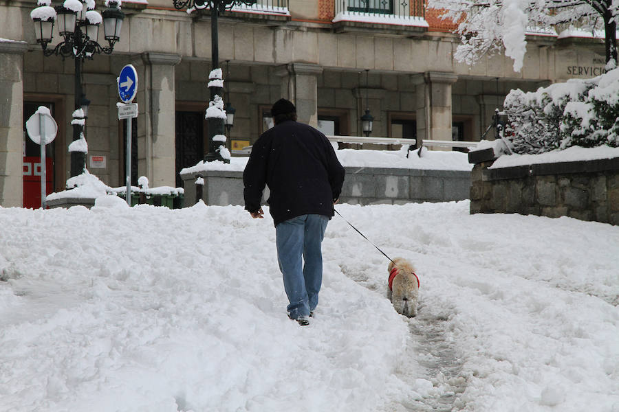 Segovia y provincia han protagonizado la actualidad del temporal del fin de semana. La nieve colapsó sus carreteras y puso un manto blanco en la capital, que muchos aprovecharon para ver el lado positivo y esquiar junto al Acueducto. Pese a la belleza de las imágenes, la nieve complicó la vida de sus ciudadanos.