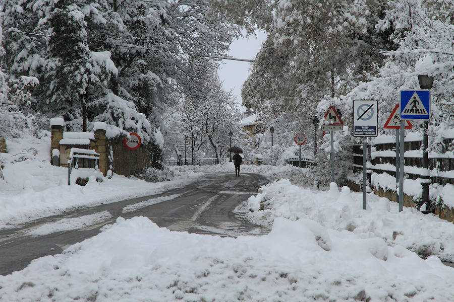 Segovia y provincia han protagonizado la actualidad del temporal del fin de semana. La nieve colapsó sus carreteras y puso un manto blanco en la capital, que muchos aprovecharon para ver el lado positivo y esquiar junto al Acueducto. Pese a la belleza de las imágenes, la nieve complicó la vida de sus ciudadanos.