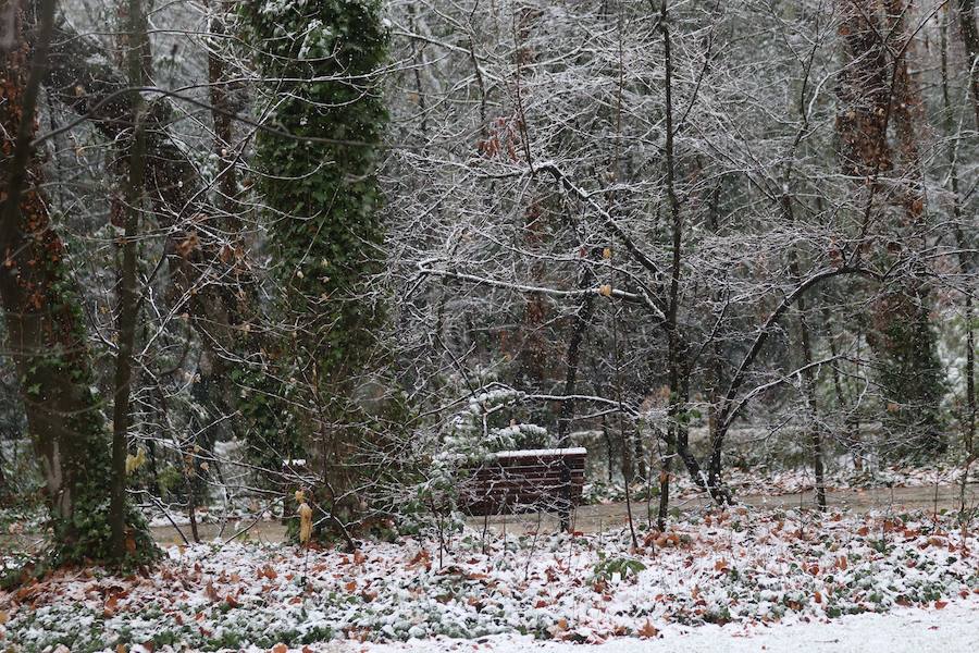 Nieve en Valladolid