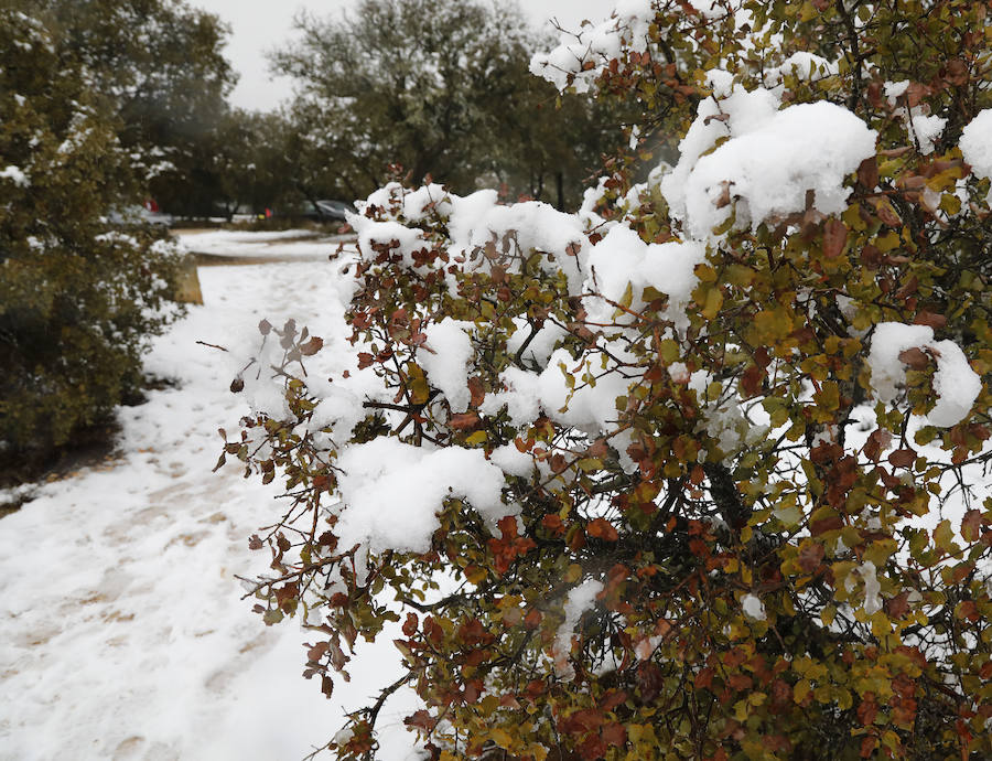Nieve en Palencia