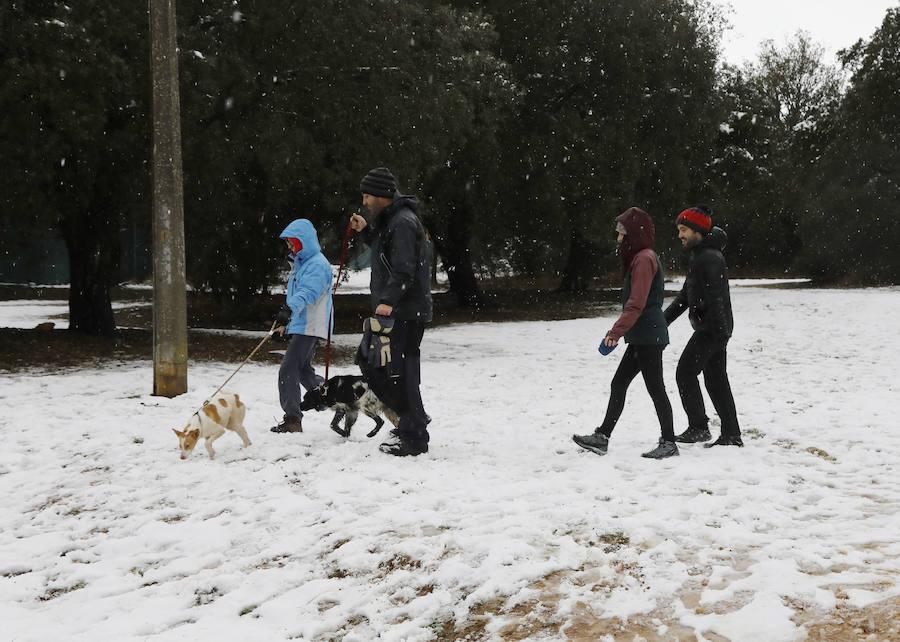 Nieve en Palencia