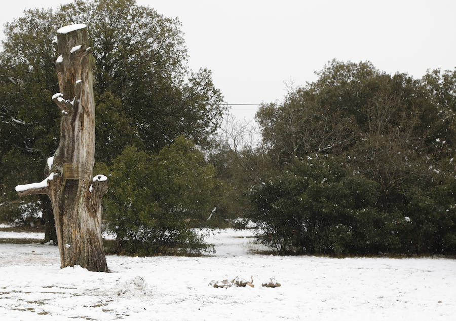 Nieve en Palencia