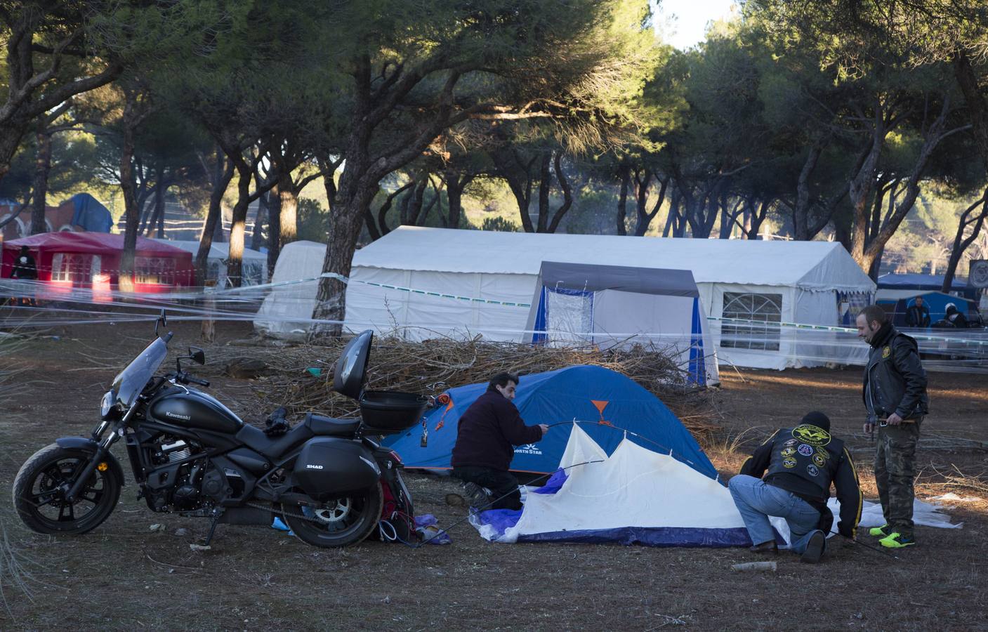 Llegan los primeros Pingüinos a la zona de acampada