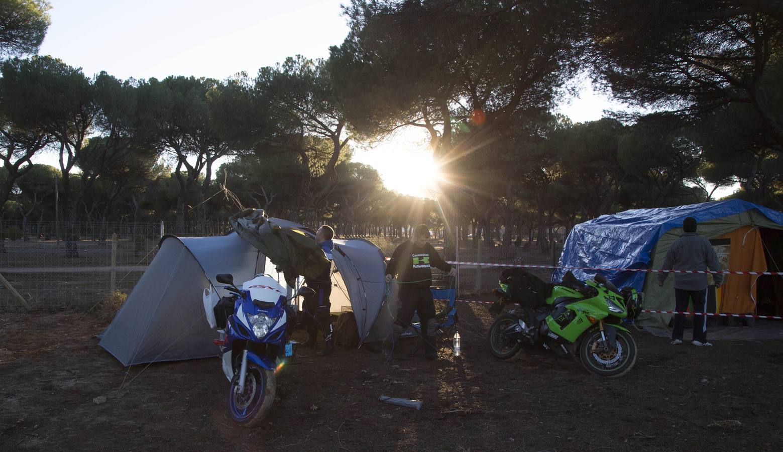 Llegan los primeros Pingüinos a la zona de acampada