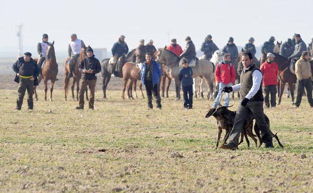 Último campeonato nacional celebrado en Madrigal, en el año 2015. 