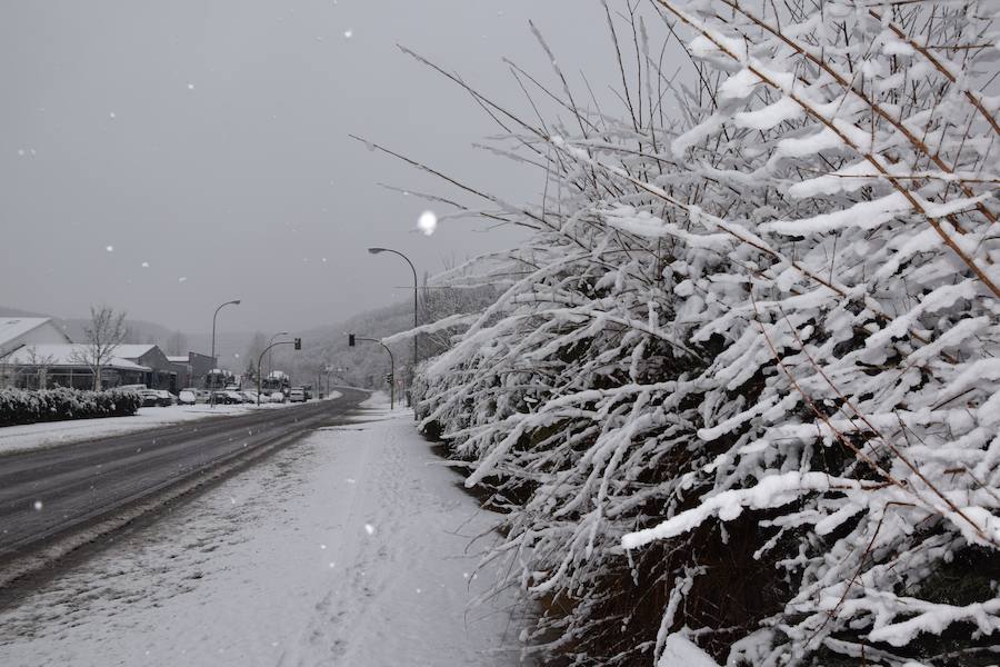 Nieva en Guardo