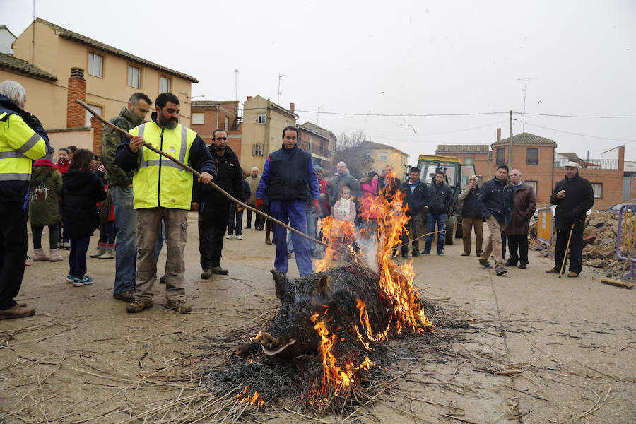 Matanza tradicional en Fuentes de Nava