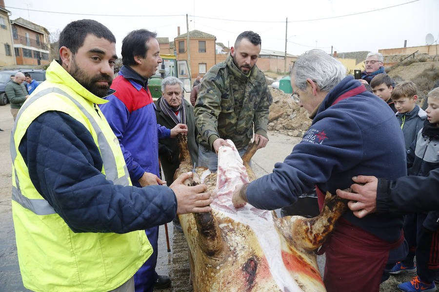 Matanza tradicional en Fuentes de Nava