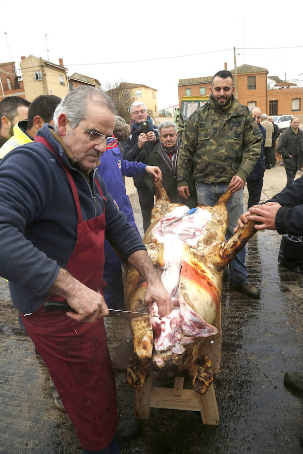 Matanza tradicional en Fuentes de Nava