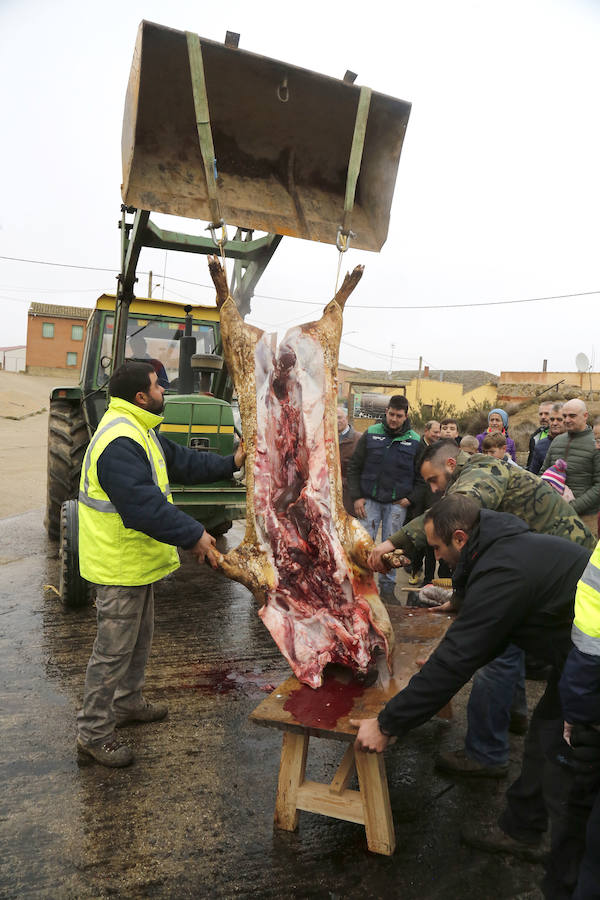 Matanza tradicional en Fuentes de Nava