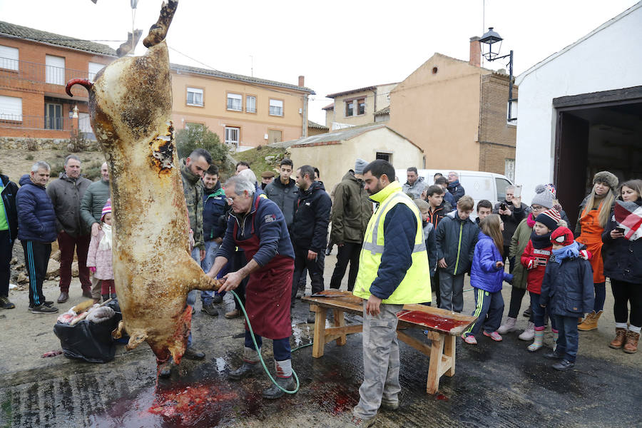 Matanza tradicional en Fuentes de Nava