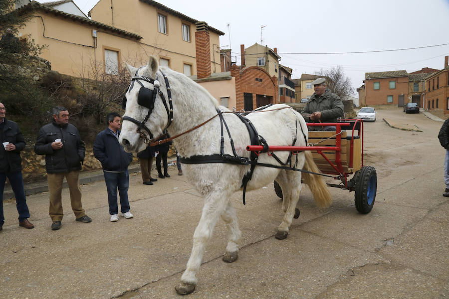 Matanza tradicional en Fuentes de Nava