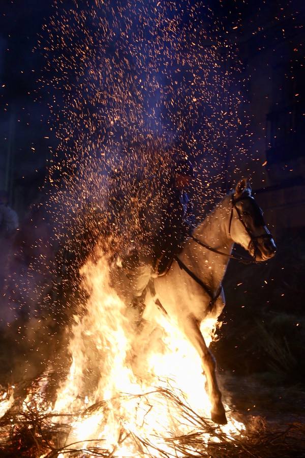Las hogueras de la fiesta de ‘Las Luminarias’ iluminaron un año más la localidad abulense en la víspera de San Antón, en el que los caballistas y sus animales toman el protagonismo en una costumbre centenaria 