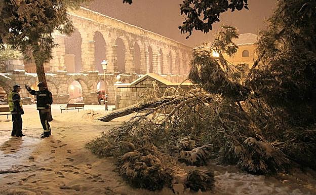 Imagen principal - Arriba, un gran pino derrumbado en la plaza de Día Sanz; abajo a la izquierda, ramas en el jardín de Los Huertos, a la derecha, el tronco desgajado de un ejemplar en el paseo de Santo Domingo.