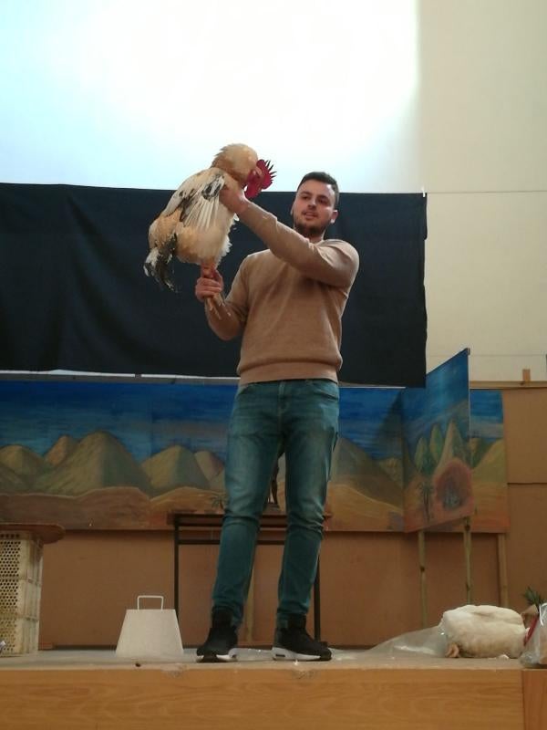 San Antón en Bolaños.