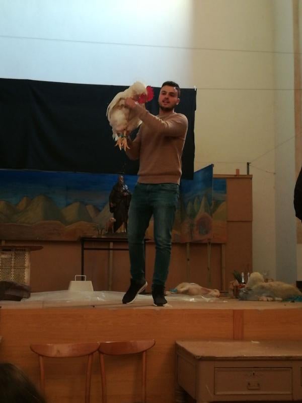 San Antón en Bolaños.